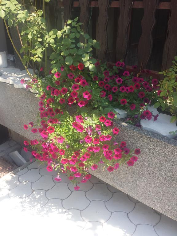 Apartment A&D Pancevo Exterior photo